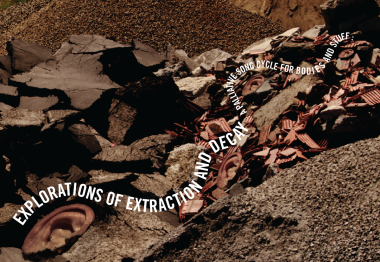 EXPLORATIONS of EXTRACTION and DECAY by Merlin Coleman