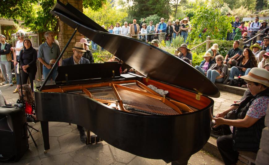 Flower Piano