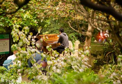 Flower Piano