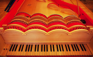 Viola Organista Photo by Tomasz Wiech/AFP 