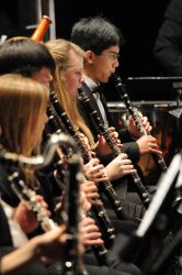 The Napa Valley Youth Symphony