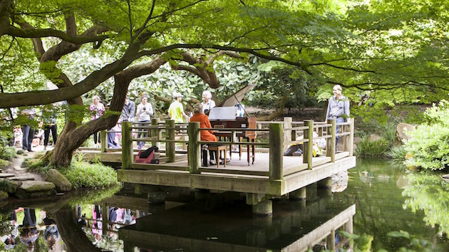 Flower Piano Cancelled At San Francisco Botanical Garden